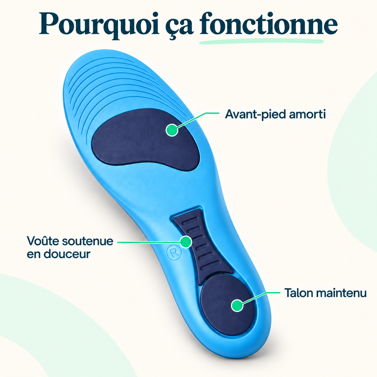 Semelle ActivFeet et ses trois zones : avant-pied amorti, voûte soutenue en douceur, talon maintenu